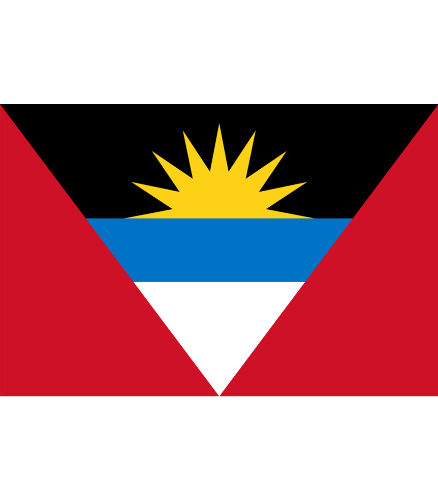 bandera_logo